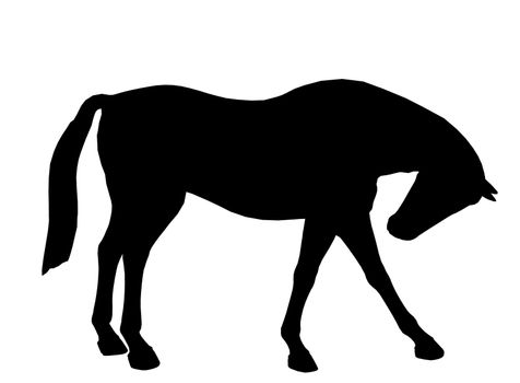 Black horse art illustration silhouette on a white background