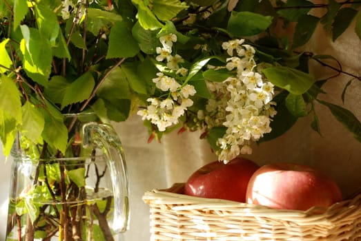 Bouquet of bird cherry and apples in kitchen.