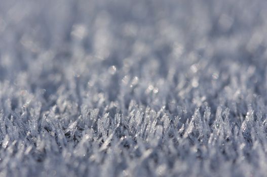 Macro Image of Morning Frost Crystals. Very narrow depth of field.