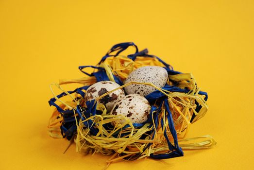 Quail mottled eggs decoration in a nest