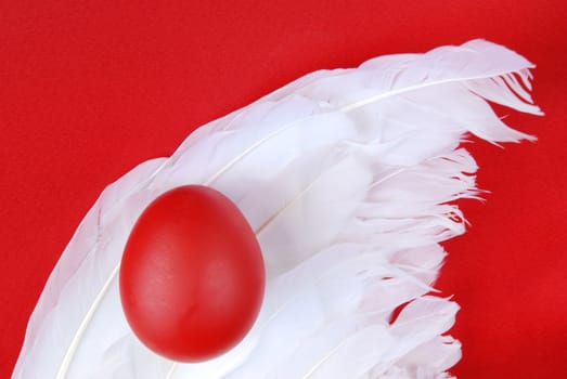 Egg on a angels wings in easter decorations