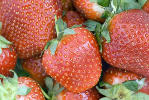 strawberries can use of background