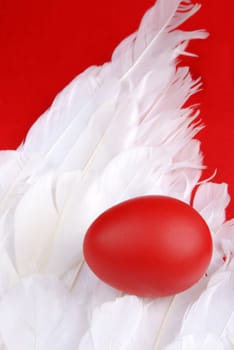 Egg on a angels wings in easter decorations