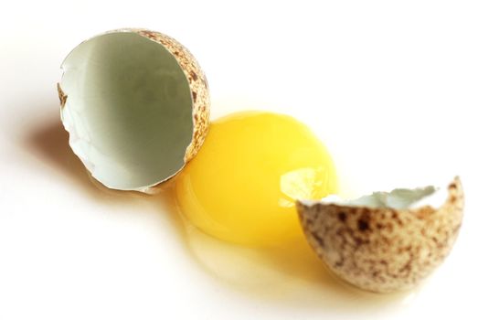 Raw quail egg and eggshell on white background