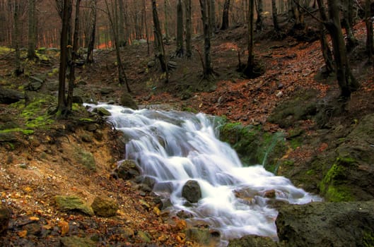 Karpatian mountain stream in spring