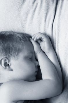 Young asleep boy. B/w + blue tone