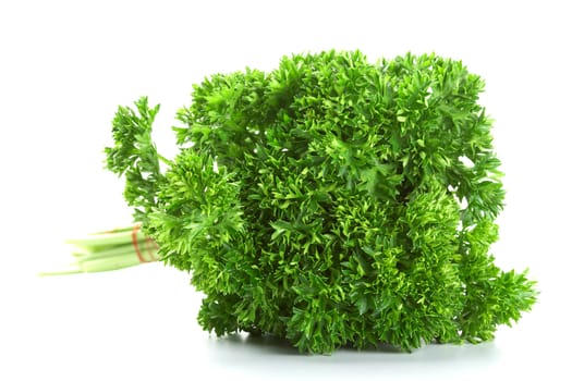 Parsley bunch isolated on white background