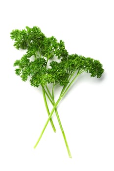 Parsley isolated on white background