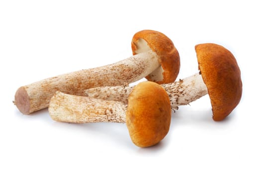 Group of three mushrooms, two of the crossed,  on white background. The file includes a clipping path