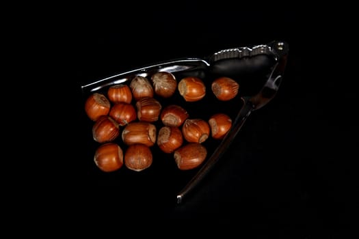 Hazel nuts and cracker