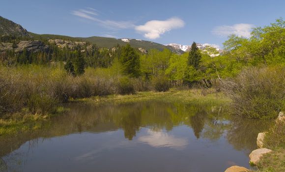 Spring pond reflecting the landscape in an aspen glade in the Colorado Rockies.