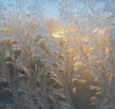 Frosty patterns on the glass, gilt by the sun.