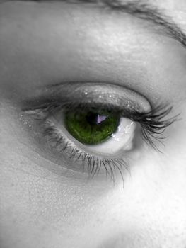 A macro shot of a pretty woman's green eye with selective color.