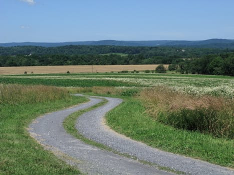 A back road winds through a rural area of Pennsylvania