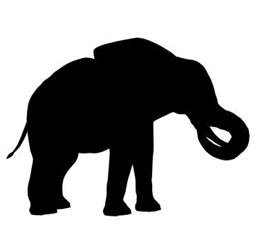 Black elephant art illustration silhouette on a white background