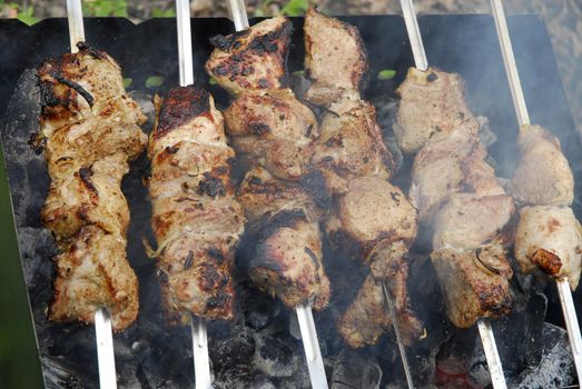 Pork kebab with onion on the BBQ 3