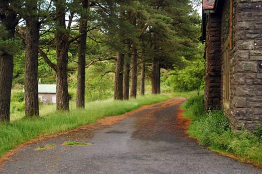 way in  Breacon Beakon park in sunndy day