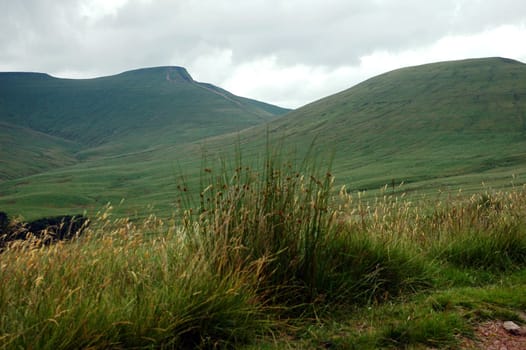 mountain of Breacon Beakon park in Wales