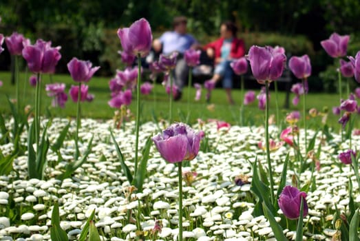 Photo in a park of London showing two people having a chat on a bench behind a flower bed