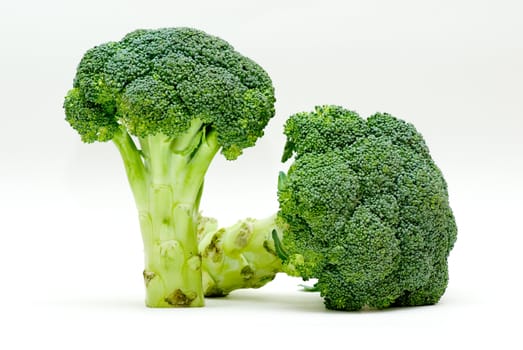 detail two broccoli on white ground