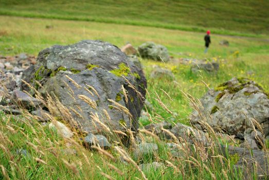 Close-up of a rock with some herb with a person walking in the background