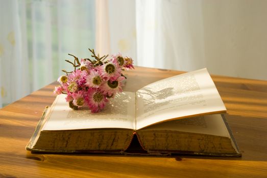 domestic still life  died flower and old book