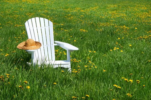 White chair with straw hat in a summer field of flowers