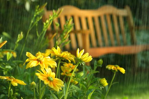 Summer showers in the late afternoon