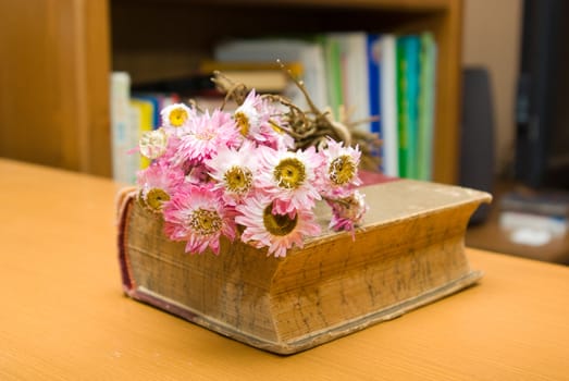 domestic still life  died flower and old book