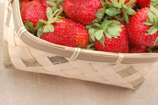 Many strawberries in the basket

