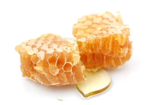 Honeycomb isolated on the white