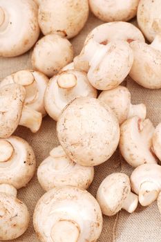 Many mushrooms on the table