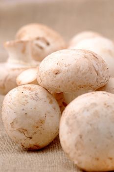 Many mushrooms on the table