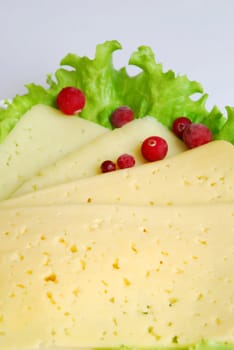 Close up of a peaces of cheese