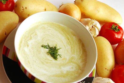 Bowl of fresh vegetable soup