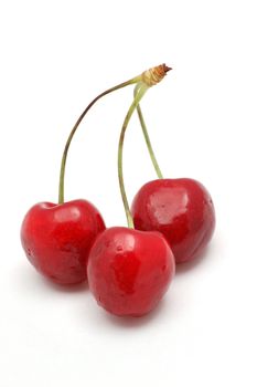 Cherry isolated on white background