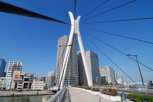 Chuo-Ohashi Bridge in Tokyo, Japan with walking pedestrians