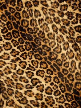 Leopard print background