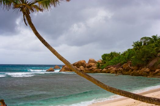 the beach with white sand on seychellen