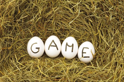 play a game concept with eggs in hey or straw