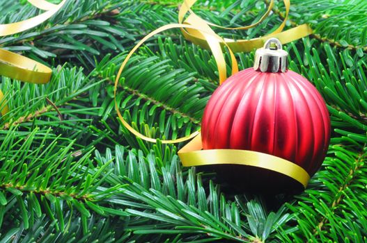 christmas or xmas still life with green fir from tree