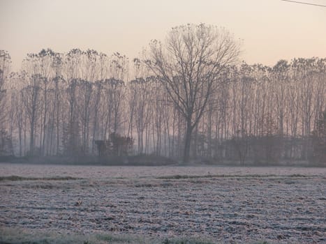 shots of early morning in fall