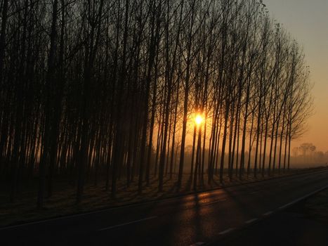 shots of early morning in fall
