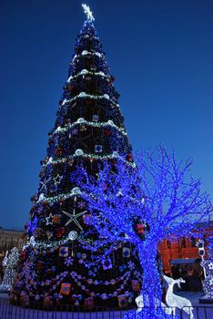 Main Christmas Tree in Kharkiv City, Ukraine