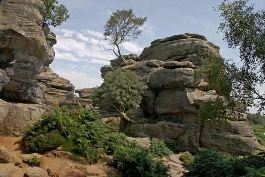 Brimham rocks, a sedimentary rock formation in Nidderdale, Yorkshire, England.