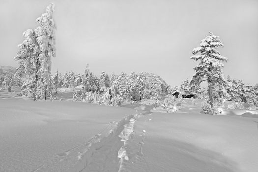 Winter landscape from Gautefall, Norway