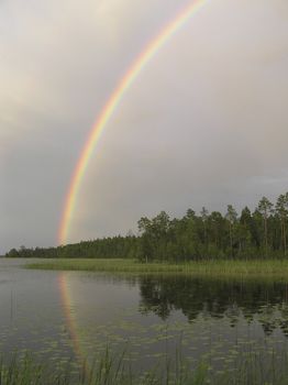 The rainbow in the cloudy sky is reflected in wood lake     