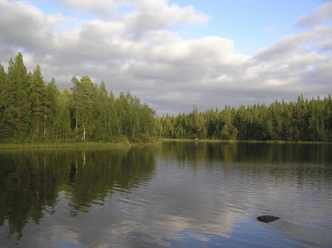Wood lake under the blue sky, surrounded with pines    