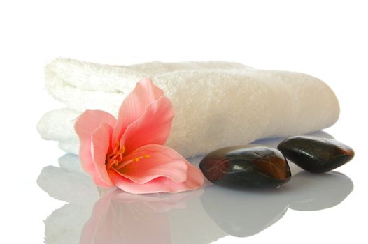 wellness and bath still life isolated on white background