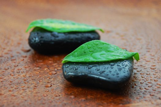 zen stones and leaves showing a wellness or bath concept